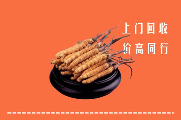 高价求购：舟山回收散虫草