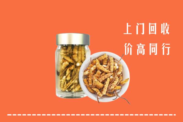 舟山回收冬虫夏草