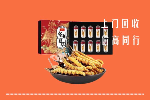 舟山回收虫草